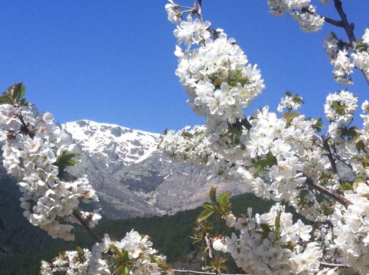 El Llano - El Hornillo, Tu Pueblo En La Sierra De Gredos. 빌라 외부 사진